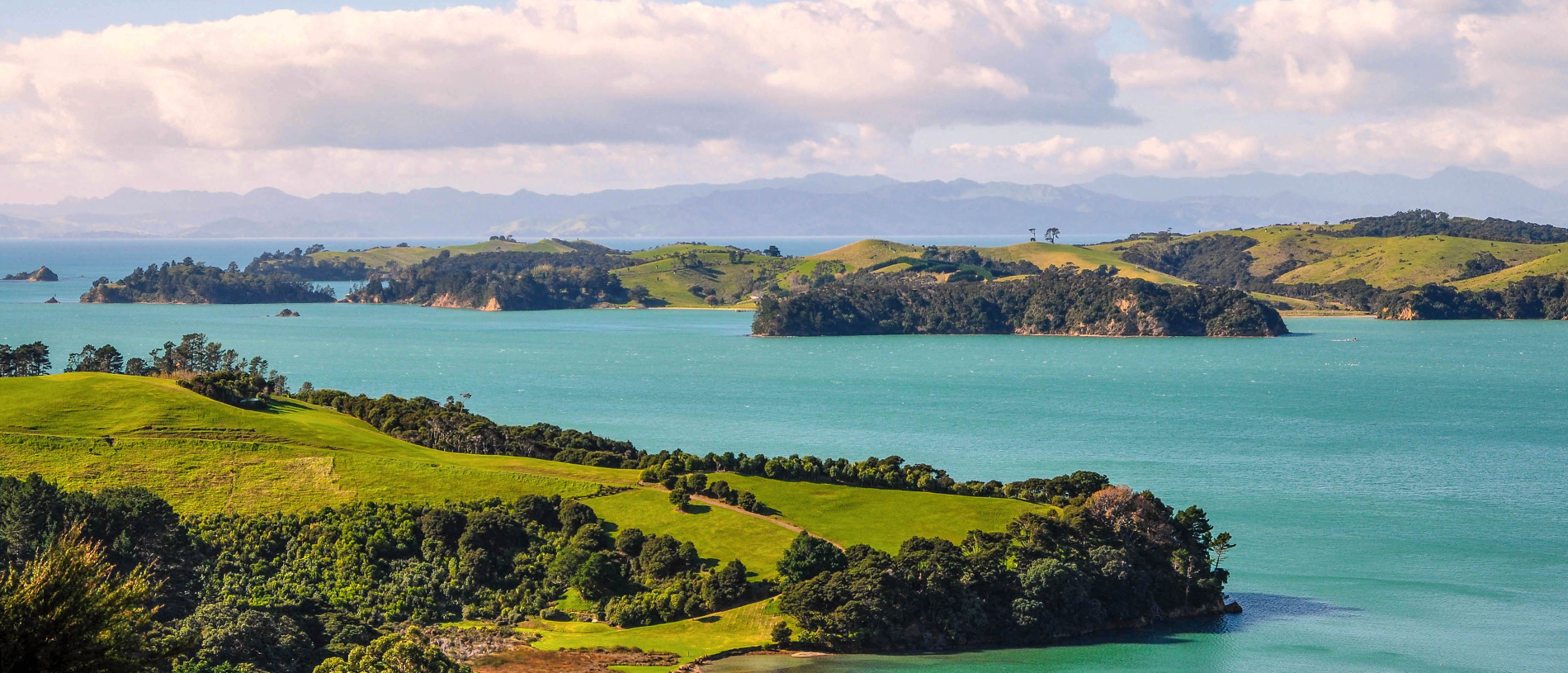 Auckland's islands: marine playground