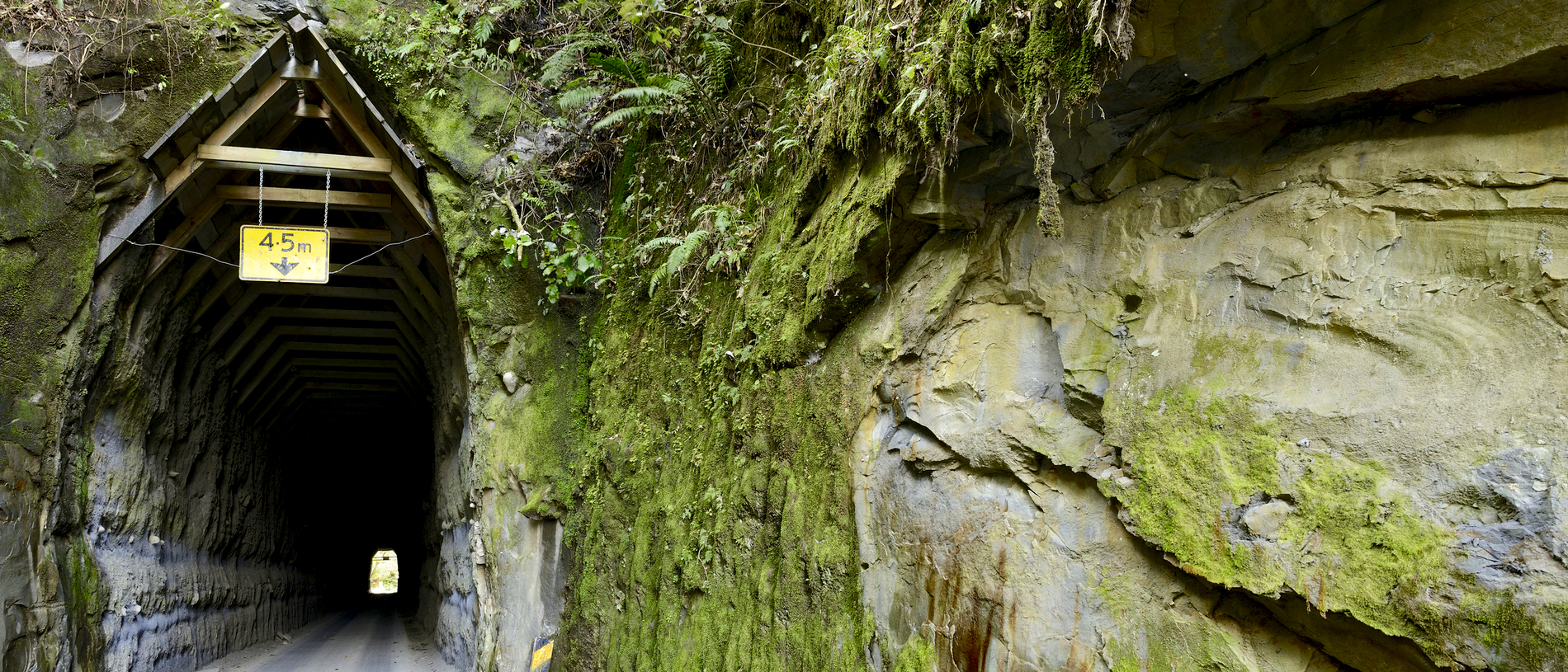 The Forgotten World Highway