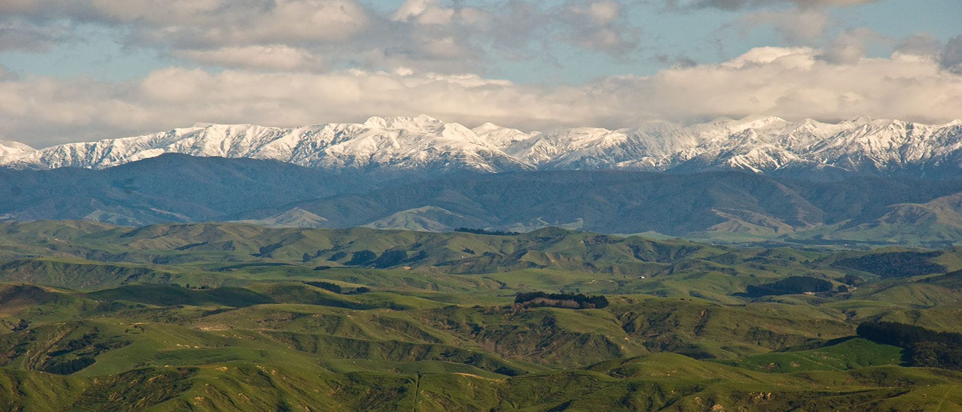 Tararua: a glimpse of prehistoric New Zealand