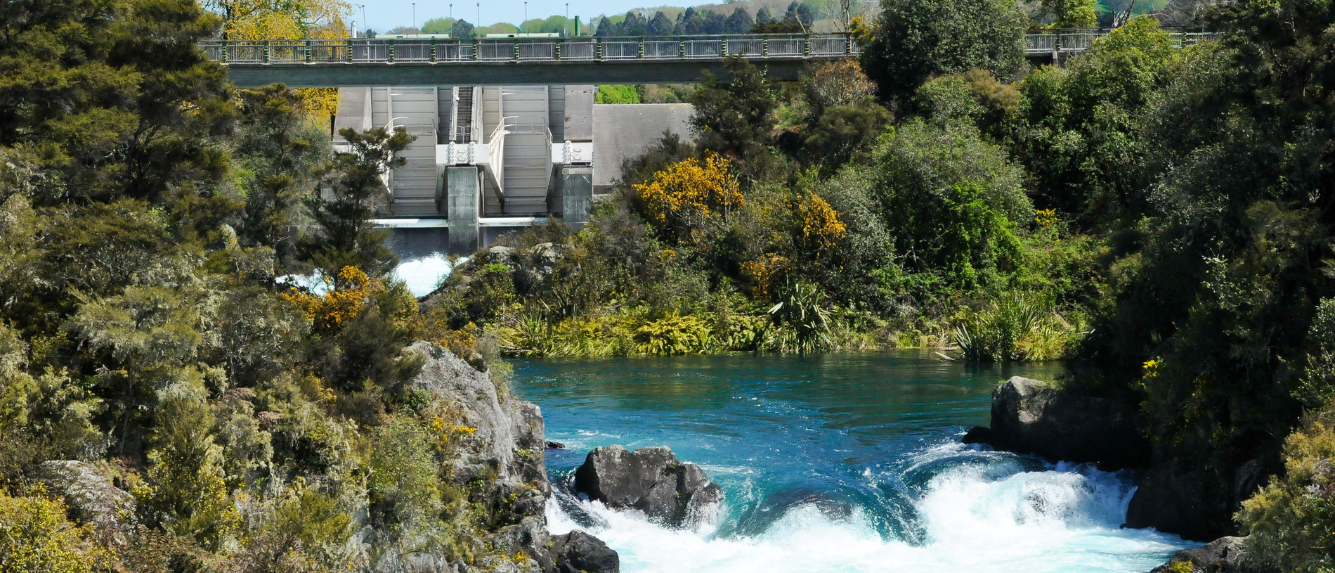 Four free things to do in Taupō