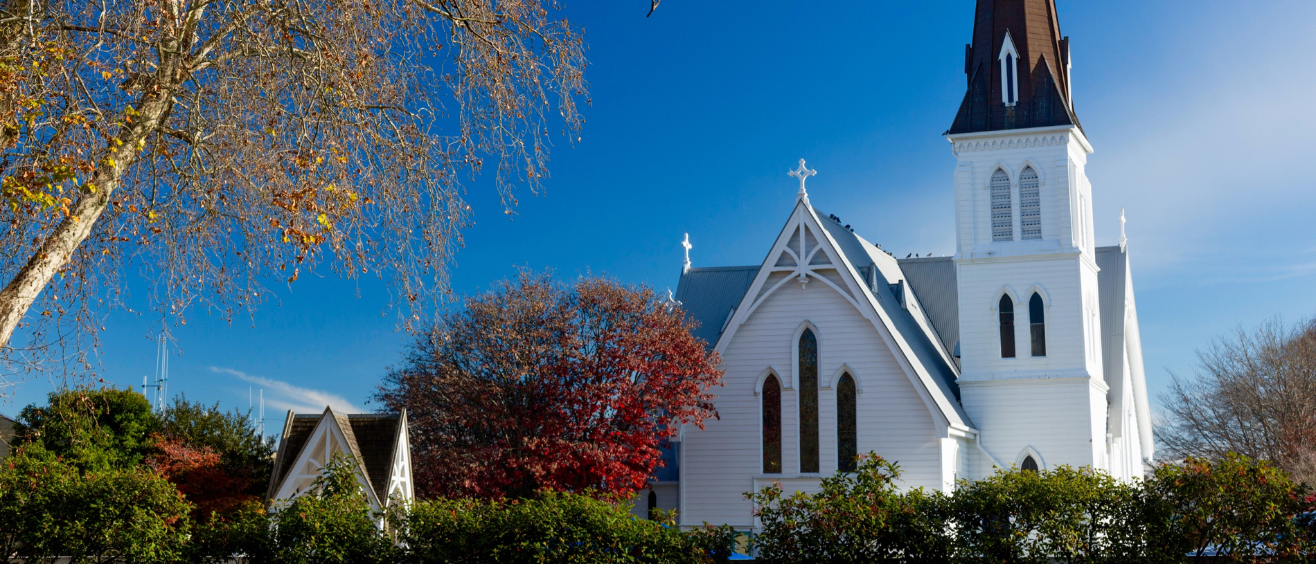 Waipā: a slice of royalty in the Waikato