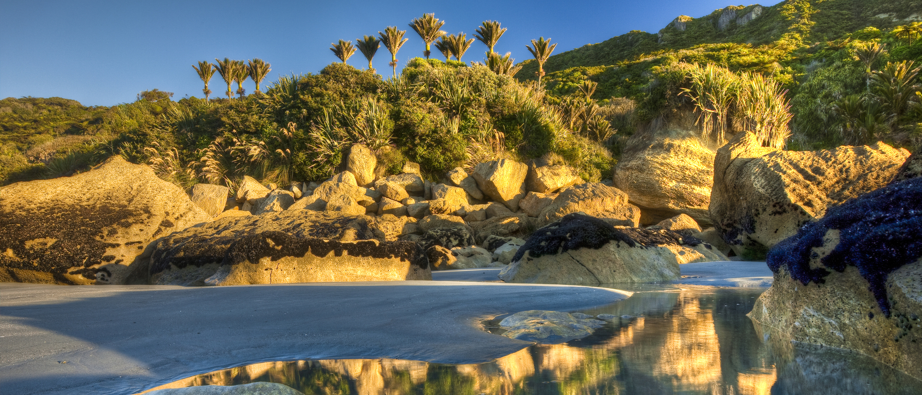 Paparoa National Park: there she blows