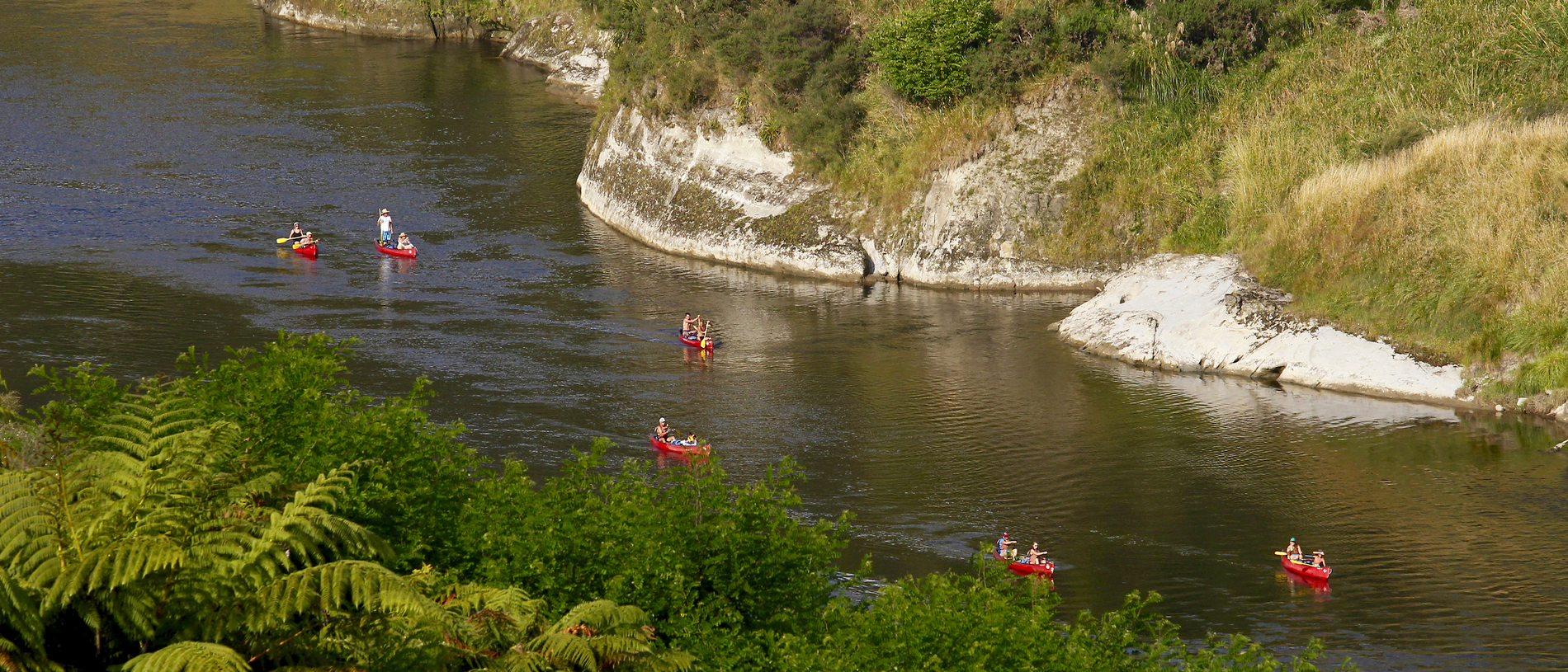 Whanganui Journey: paddle your own canoe