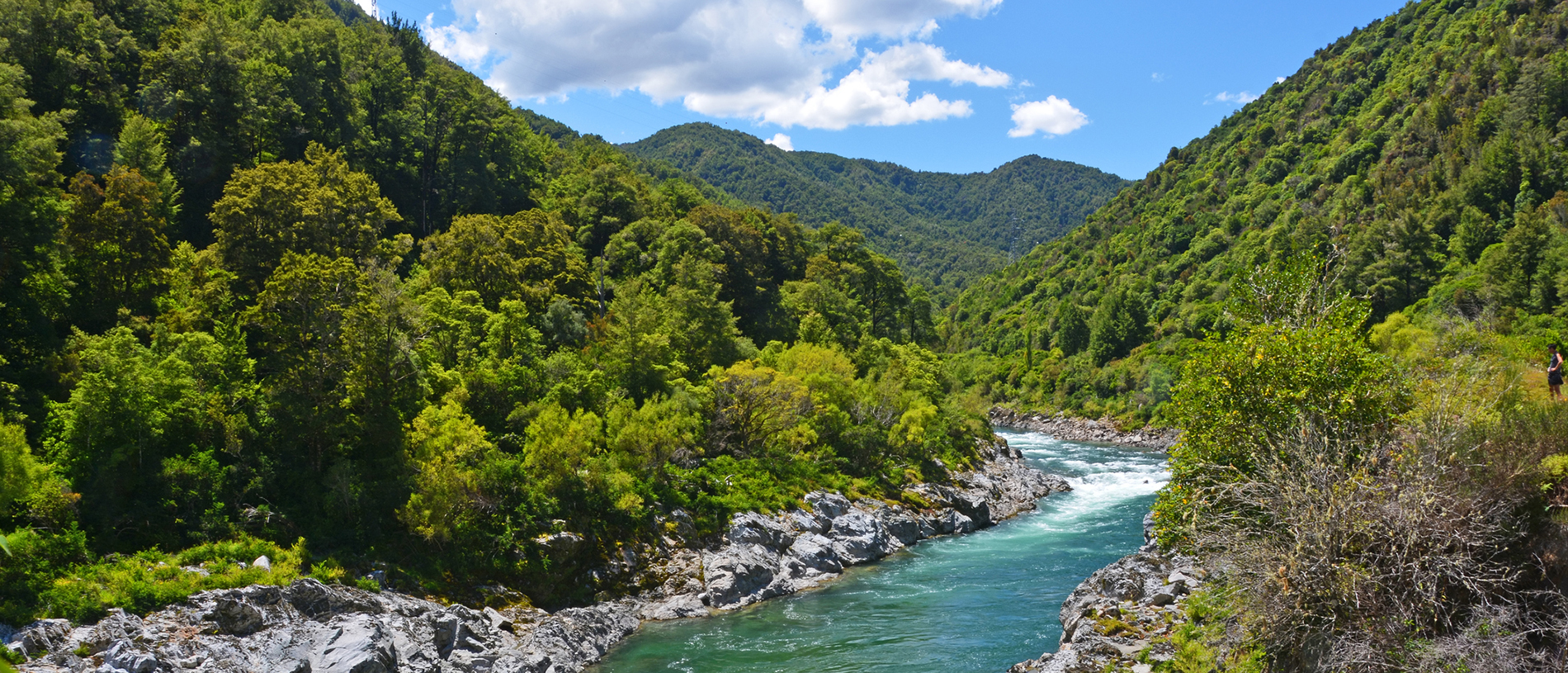 Buller Gorge: swing into action in the deep, meandering canyon