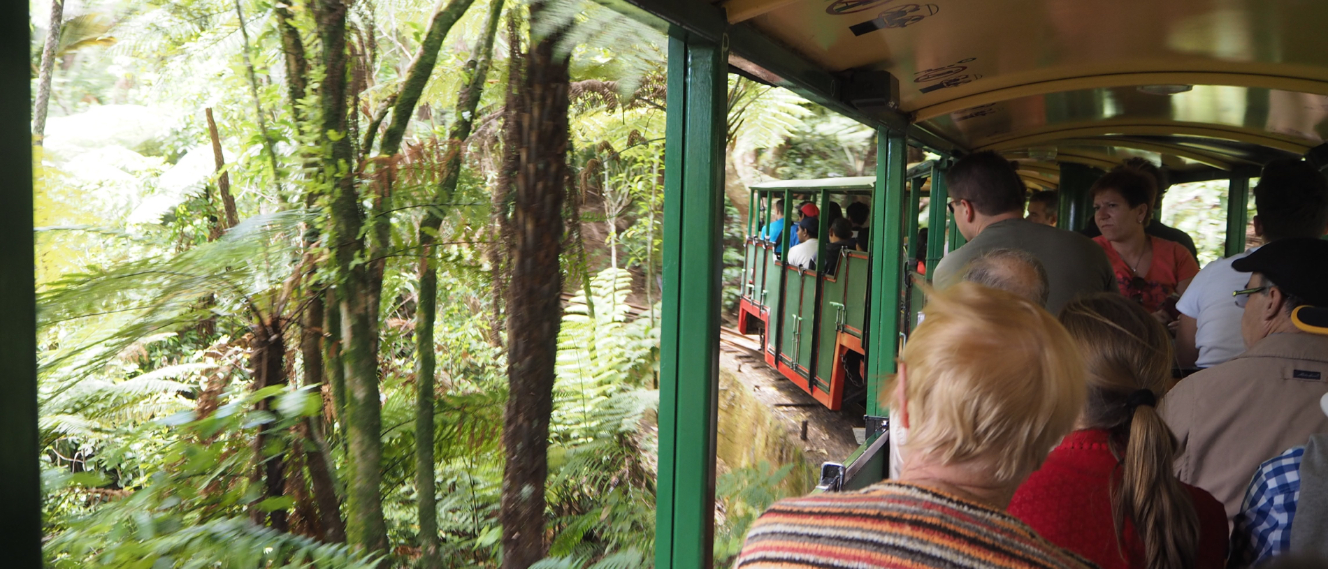 Driving Creek Railway: a unique railway experience