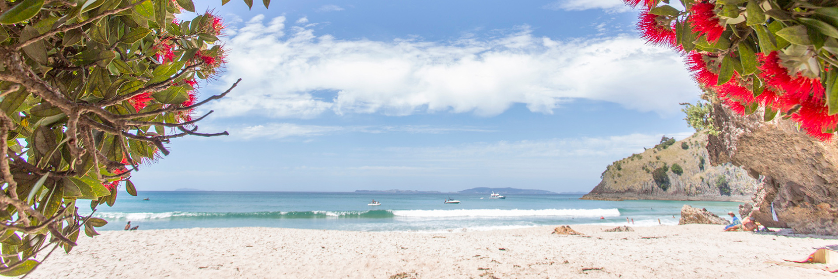 New Chum Beach: idyllic sandy seclusion