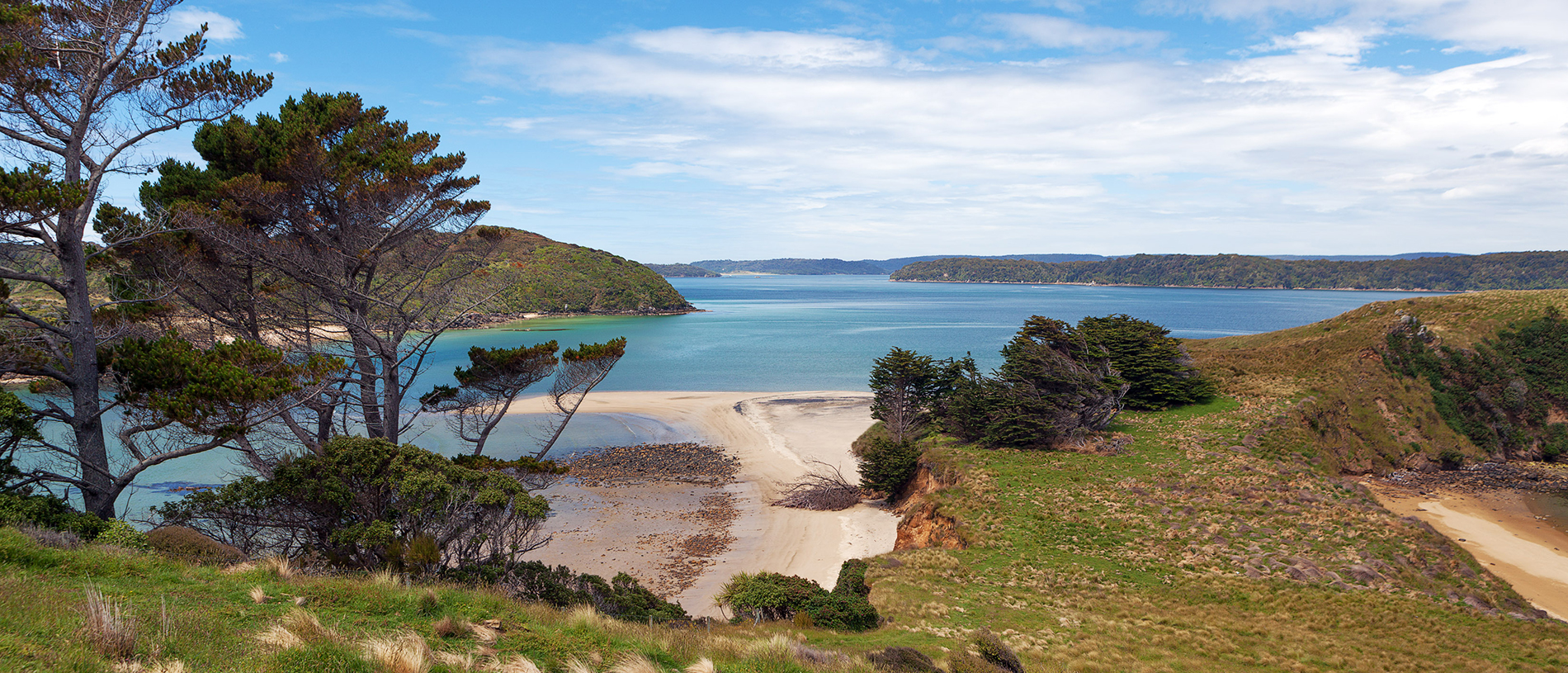Stewart Island Rakiura: a world away