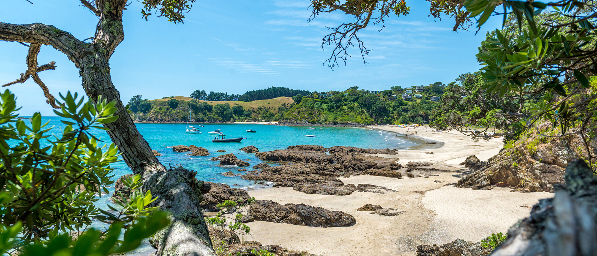 Waiheke Island: a self-contained bubble of pure pleasure