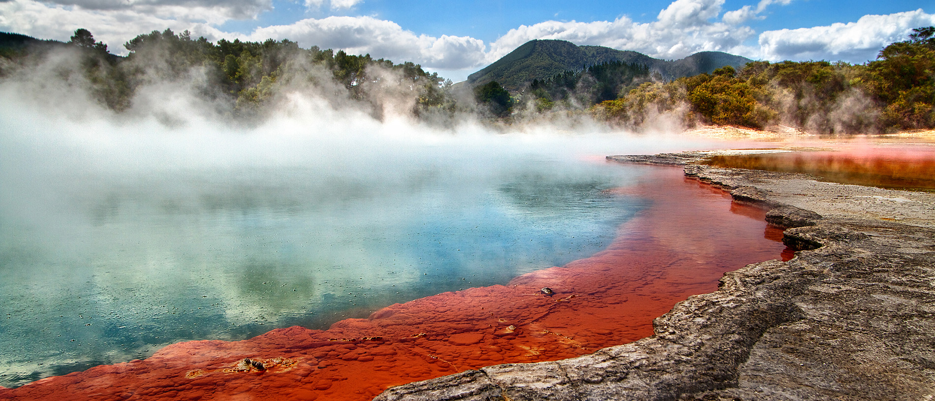 Wai-O-Tapu: thermal wonderland