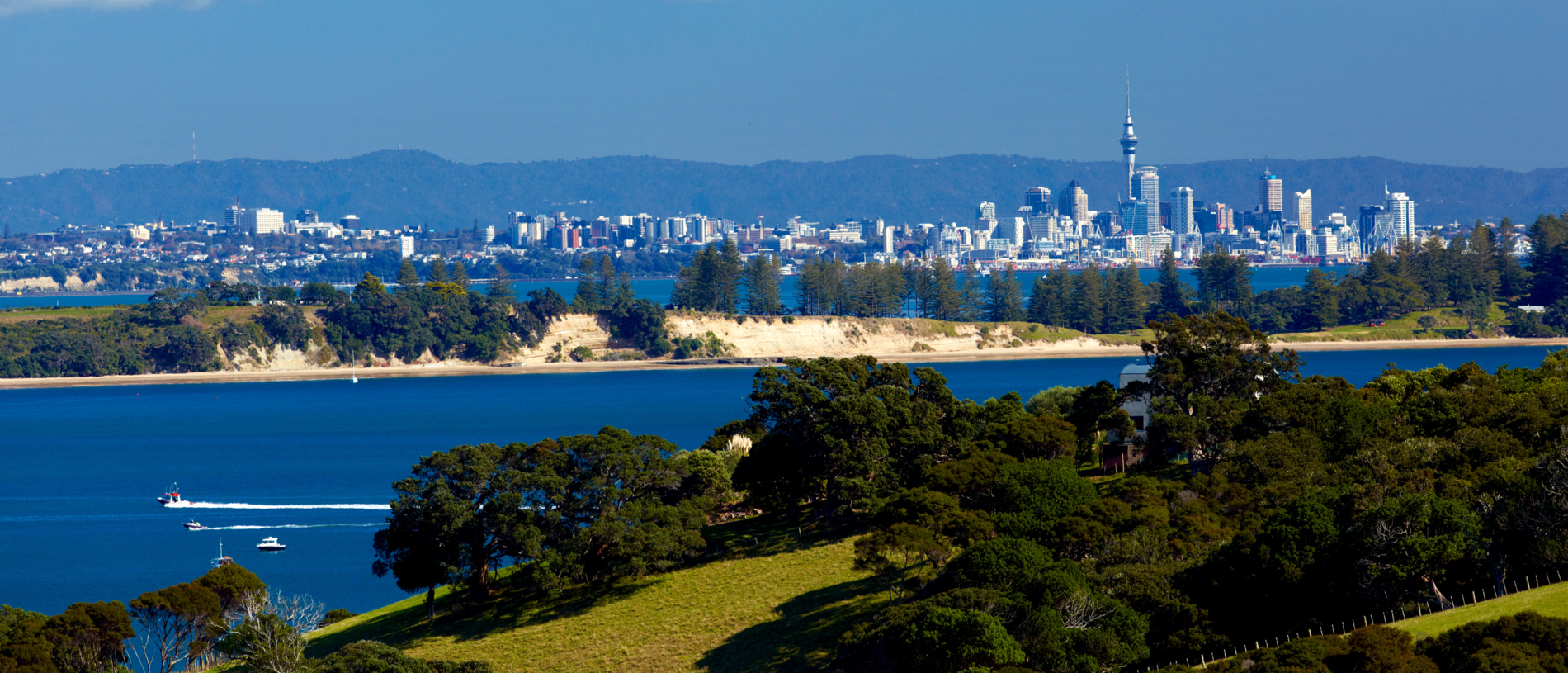 Visit the islands of the Hauraki Gulf