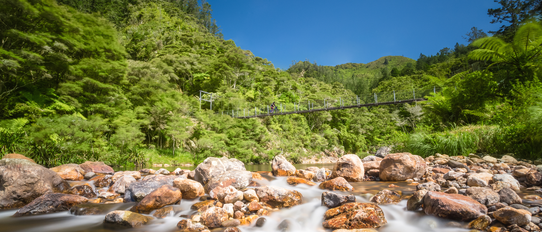 Ride the Hauraki Rail Trail through the stunning Karangahake Gorge