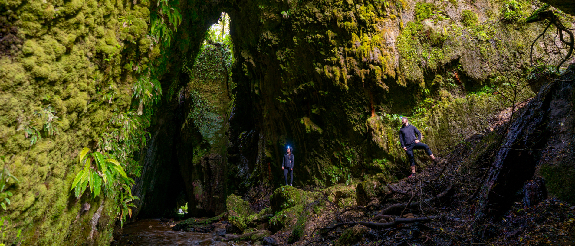 Explore hidden glowworm caves in Manawatū