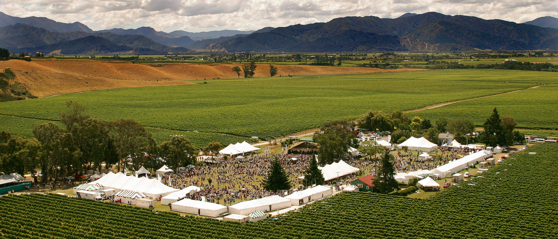 Get a taste of terroir at the Marlborough Food and Wine Festival