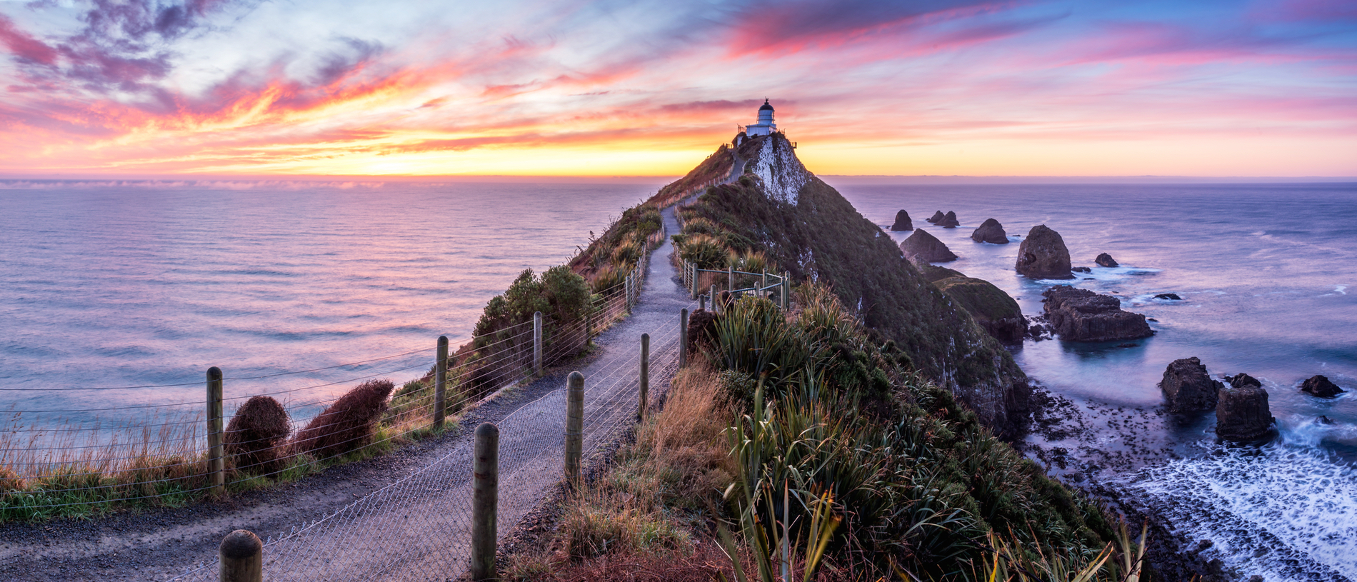 Spot penguins, seals and one of New Zealand’s oldest lighthouses at Nugget Point