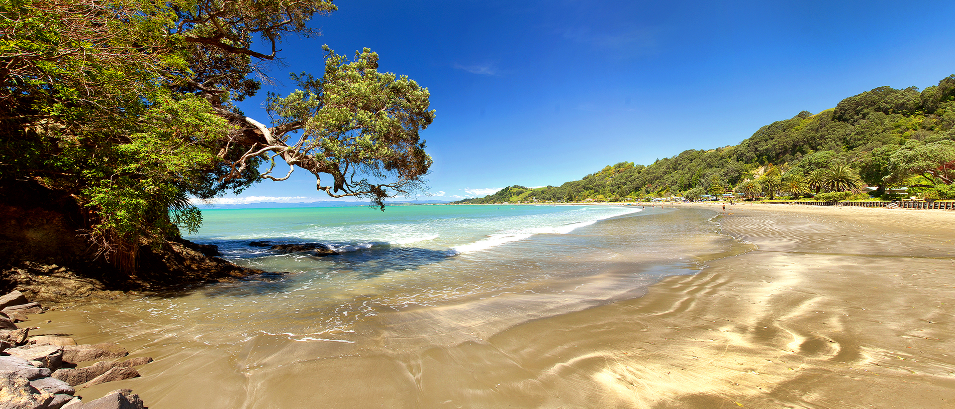 Visit New Zealand’s most-loved beach, Ōhope Beach