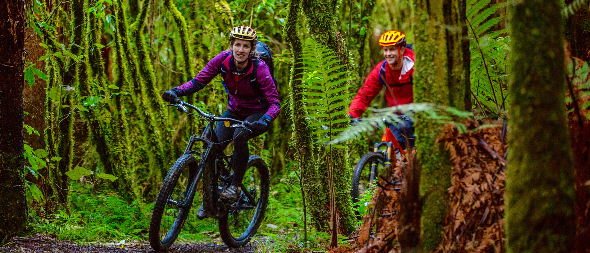 Ride through history on the Ohakune Old Coach Road
