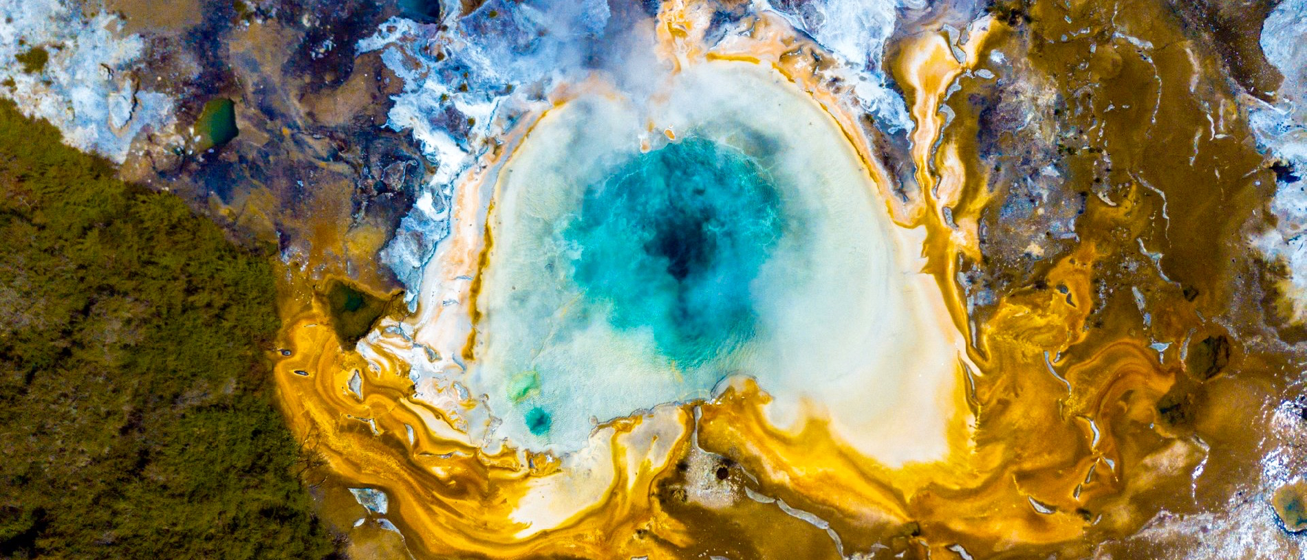 Ōrakei Kōrako: the painted place