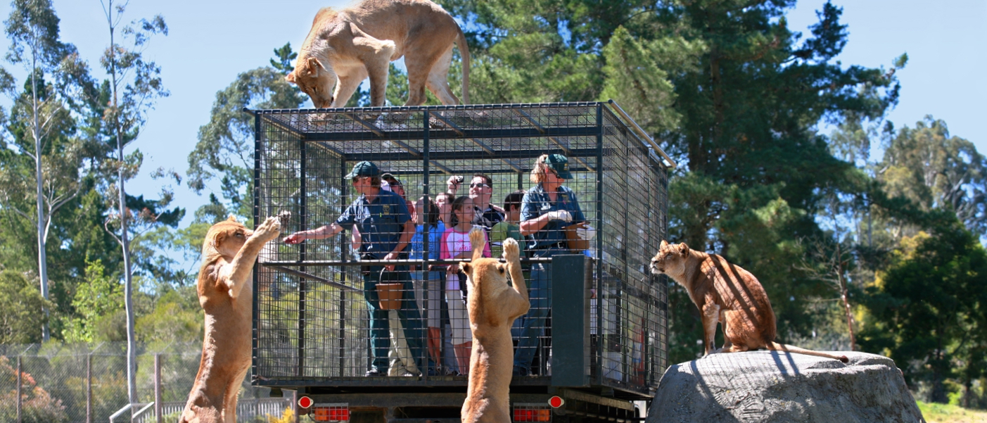 Get up close with the animals at Orana Wildlife Park