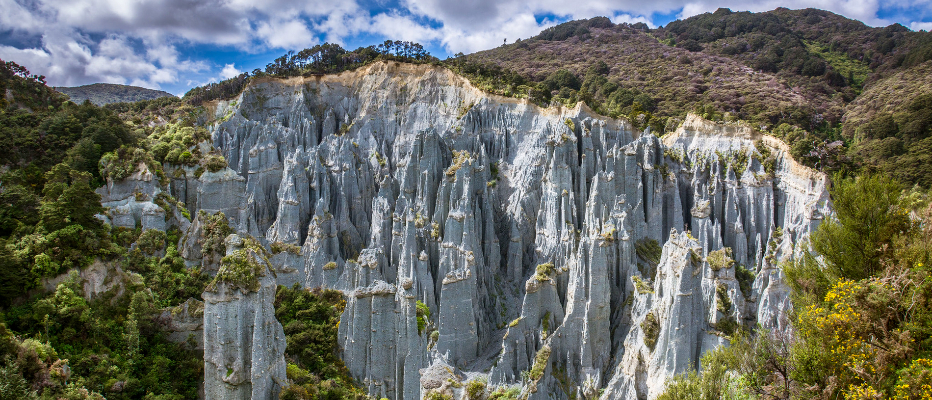 Discover the ‘badlands erosion’ of Putangirua Pinnacles