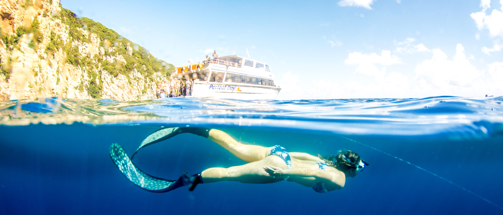 Discover the magical marine environment of the Poor Knights