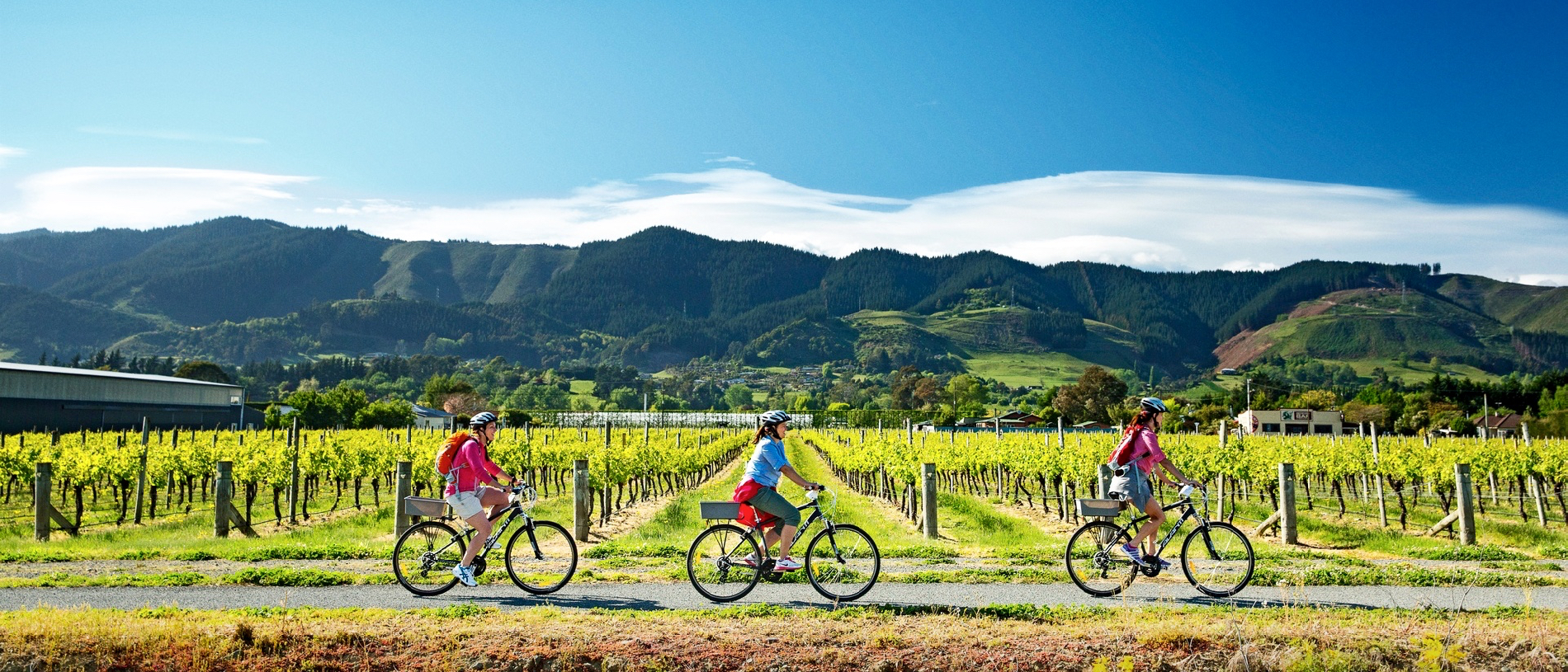 Cycle Tasman's Great Taste Trail