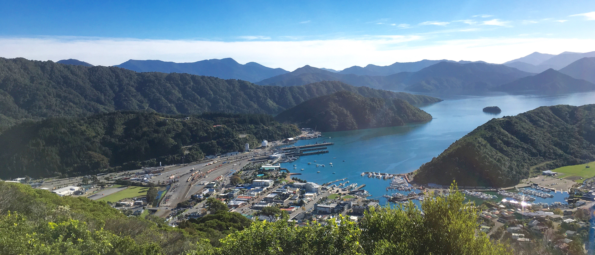 Get a bird’s-eye view of Picton from the Tirohanga Track