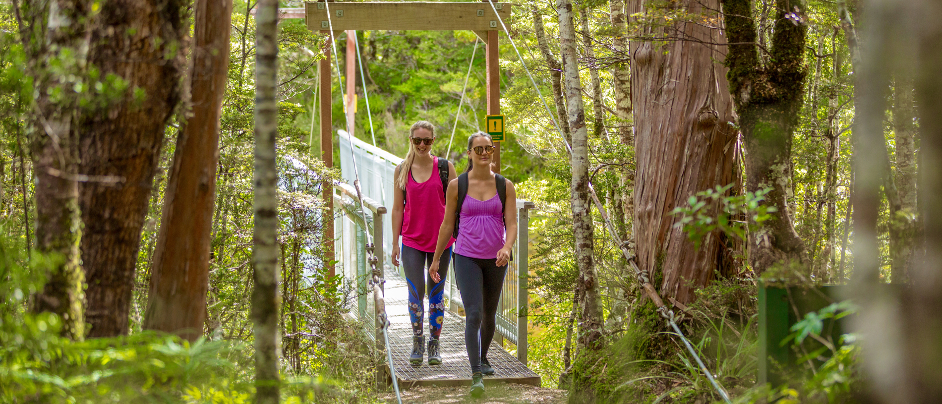 Enjoy an easy alpine walk on the Waitonga Falls Track