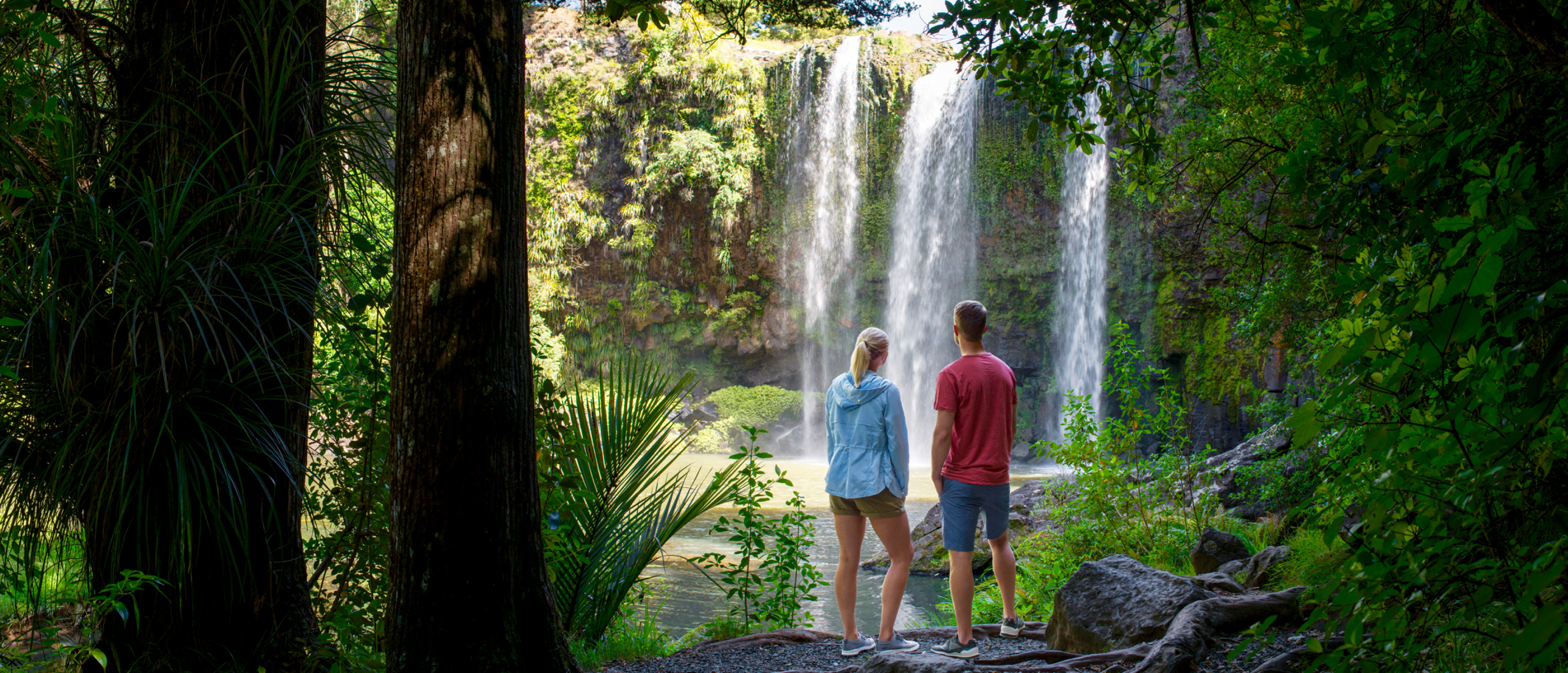 Take a walk and a dip at Whangārei Falls