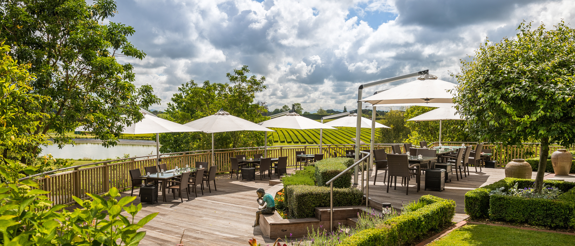 Find zen at Zealong Tea Estate