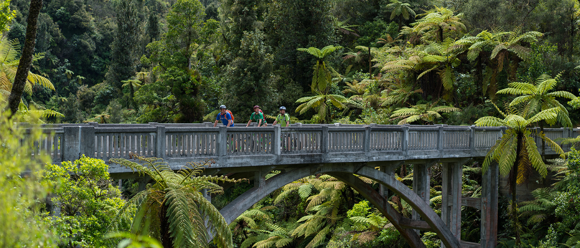 Bridge to Nowhere: stunning walking in the Whanganui National Park