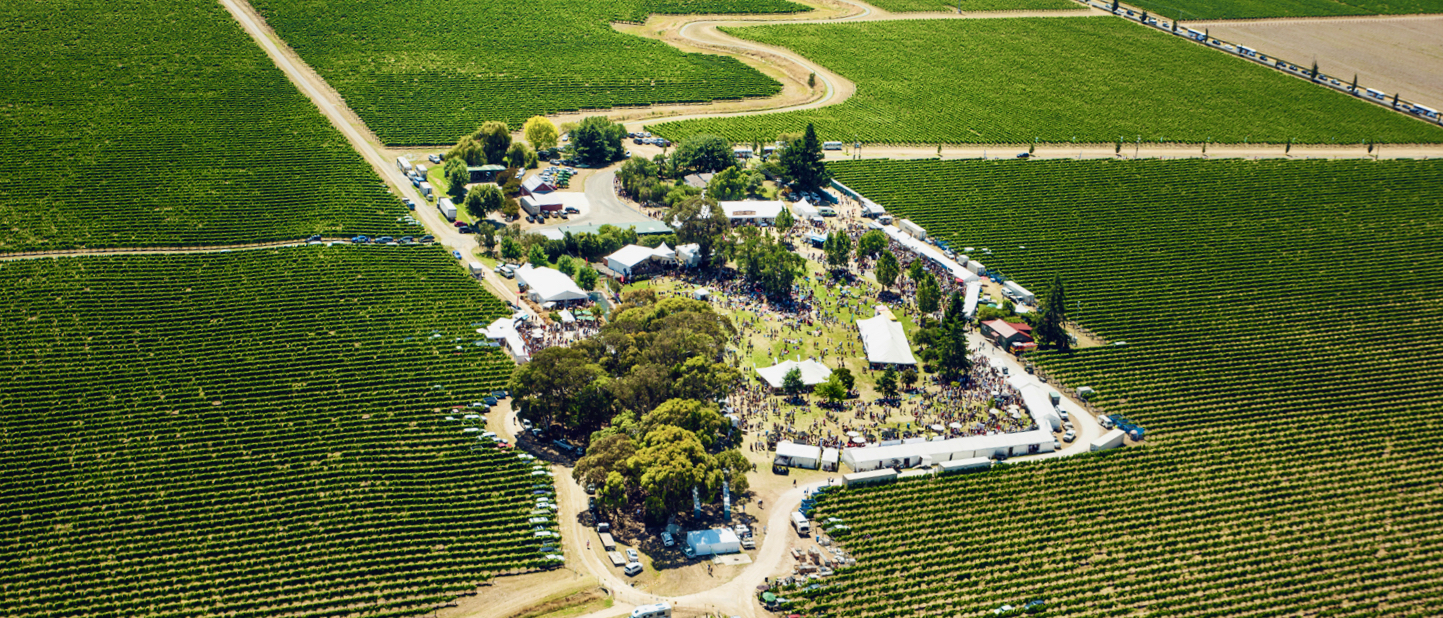 The Marlborough Wine & Food Festival: sauvignon blanc on its home turf
