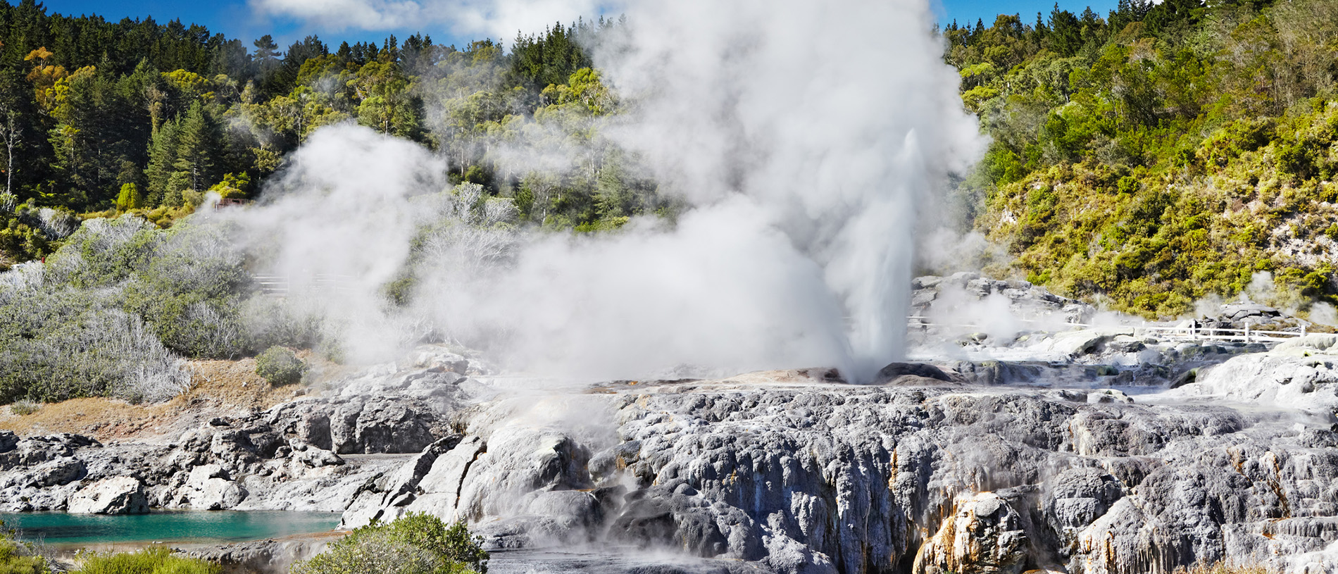 Pōhutu Geyser: the largest geyser in the southern hemisphere