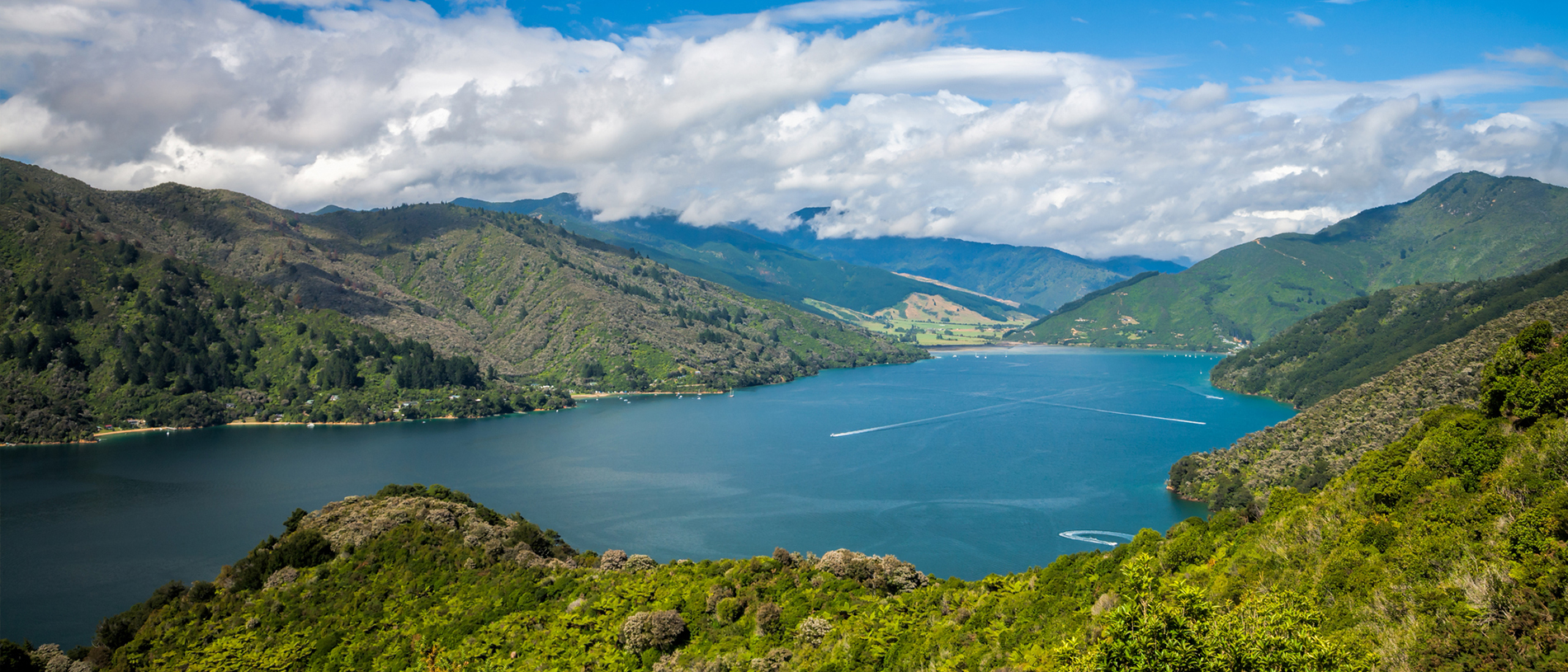 Queen Charlotte Track: camp, bike, walk... if you can tear your eyes away from the views