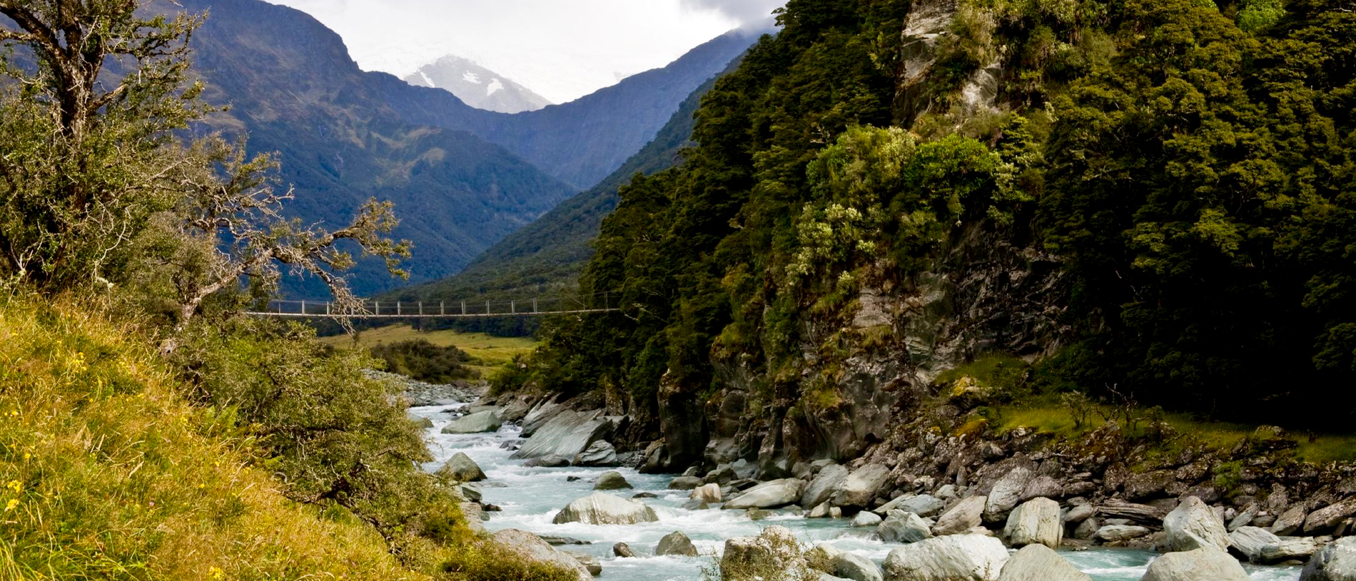 Rob Roy Glacier Track: glaciers, waterfalls and thieving parrots