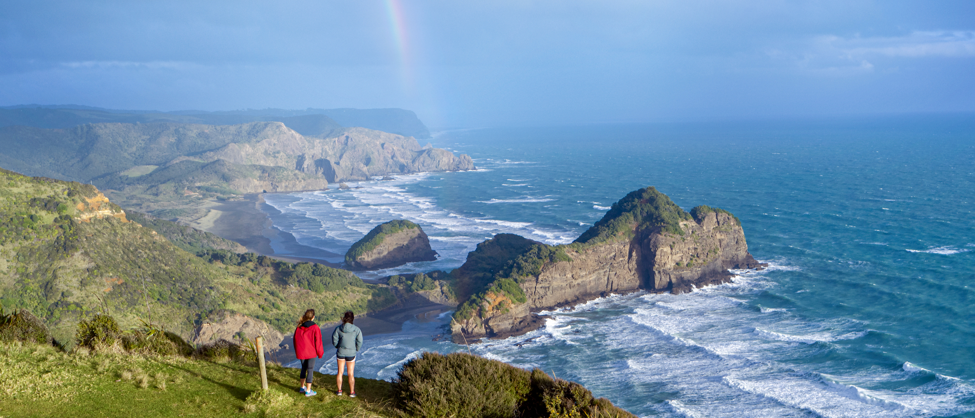 Te Henga Walkway: a wild and wonderful west coast walk
