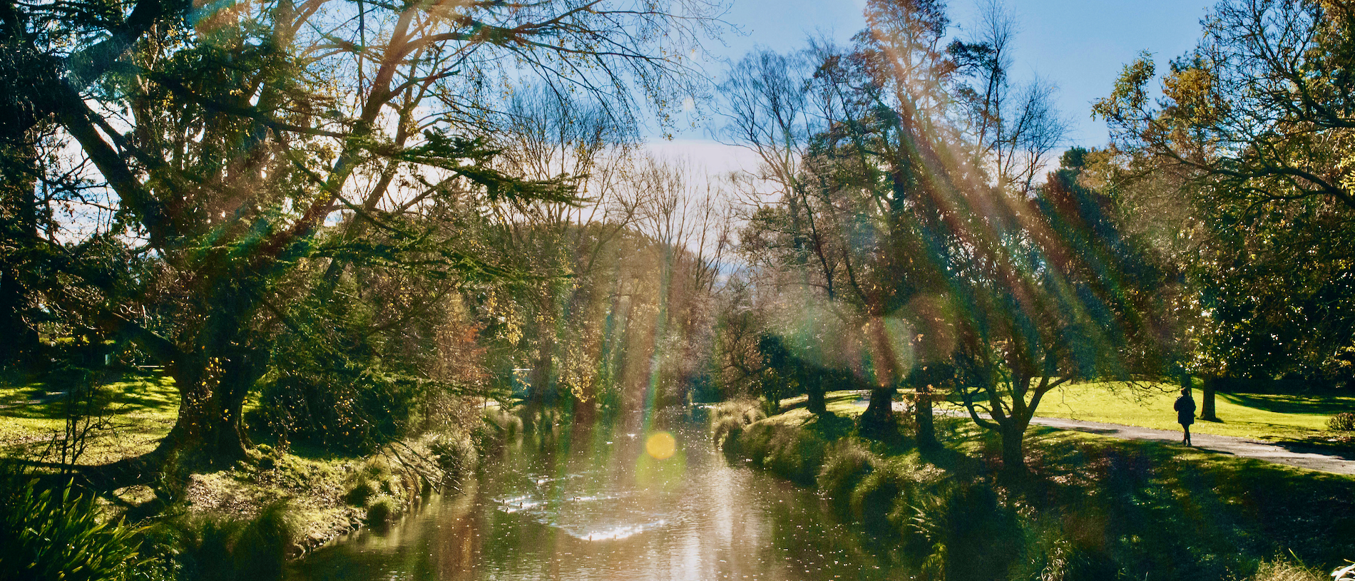 Discover another side of Christchurch City on the Avon Loop
