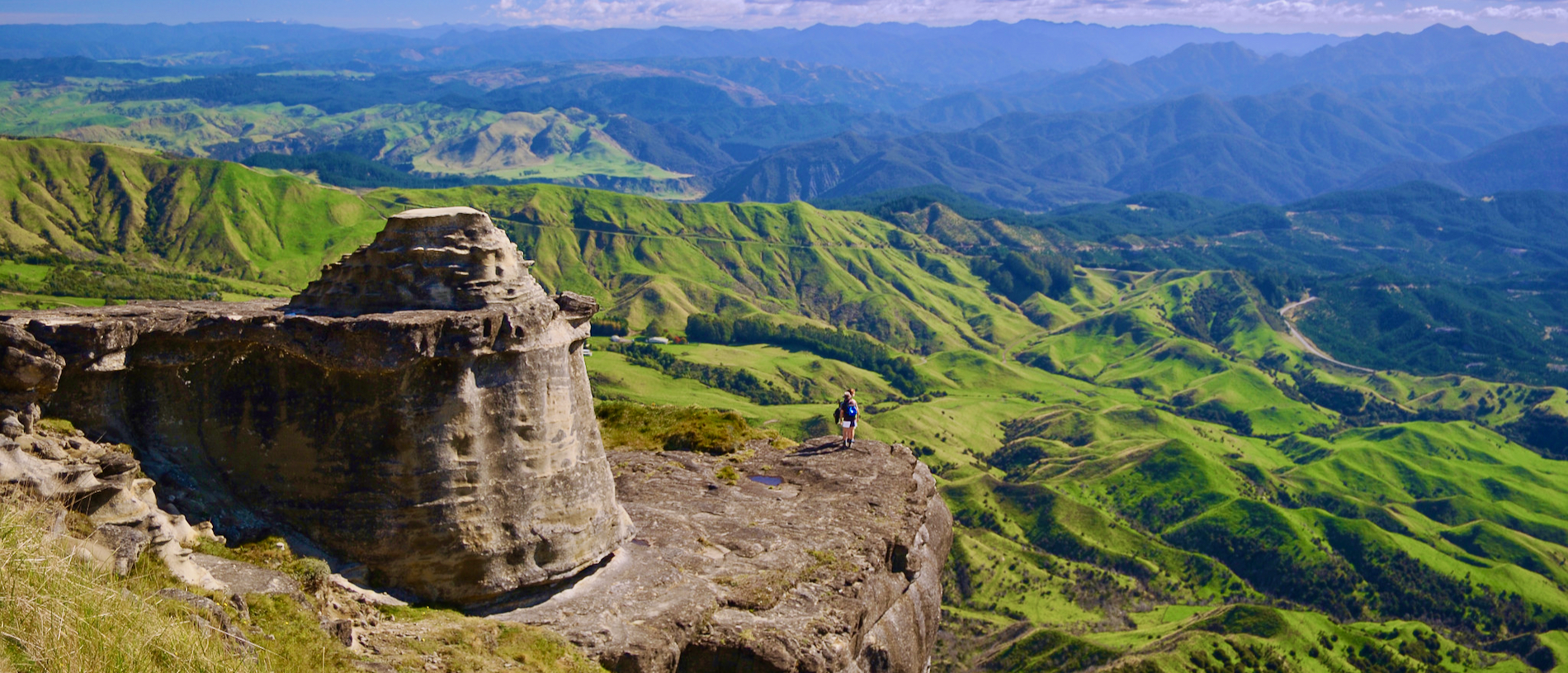 Explore the unique geology, wildlife and waterfalls of Boundary Stream