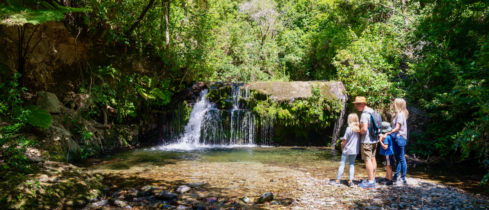 Brook Waimārama Sanctuary: Nelson’s nature reserve