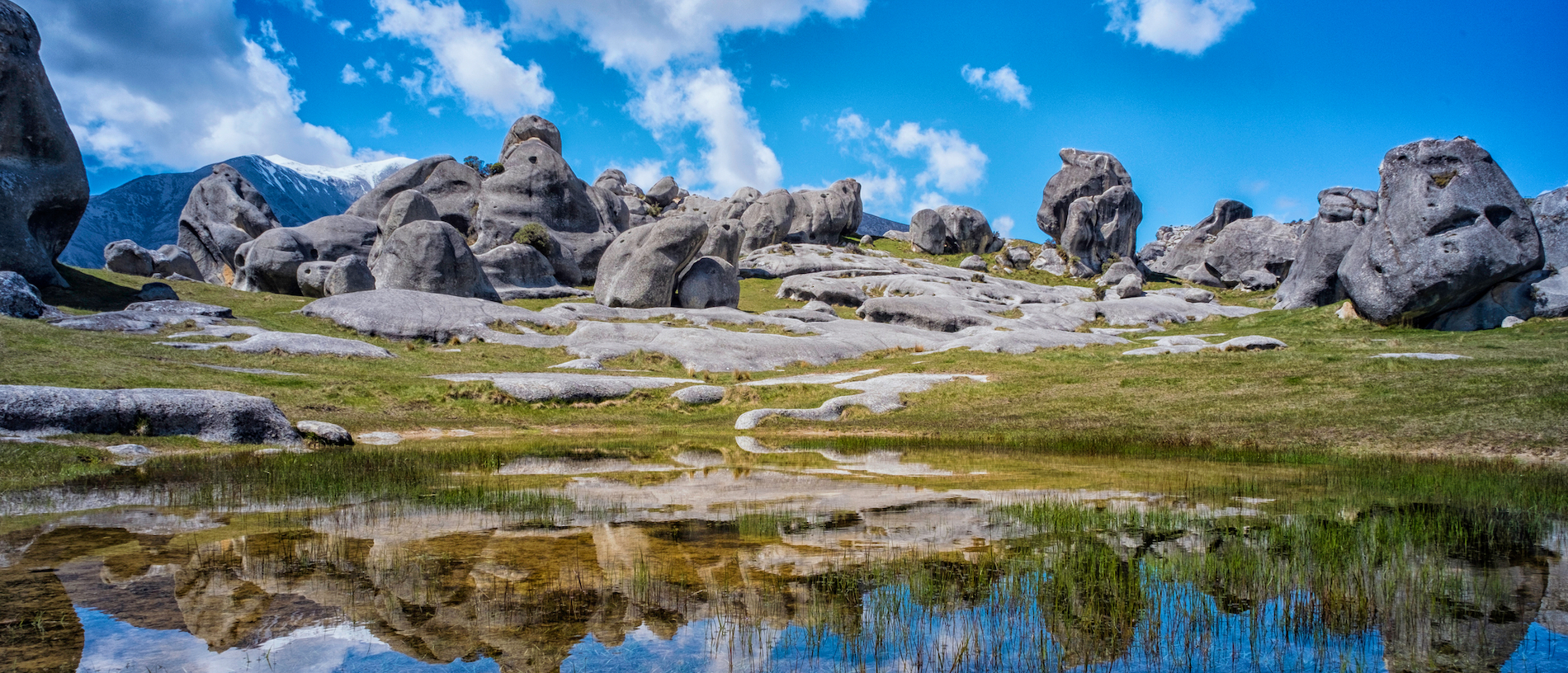 Discover rocky outcrops and rare plants at Kura Tāwhiti Conservation Area