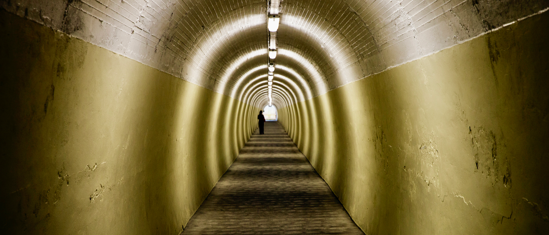 Experience historic tunnels and towers in Whanganui