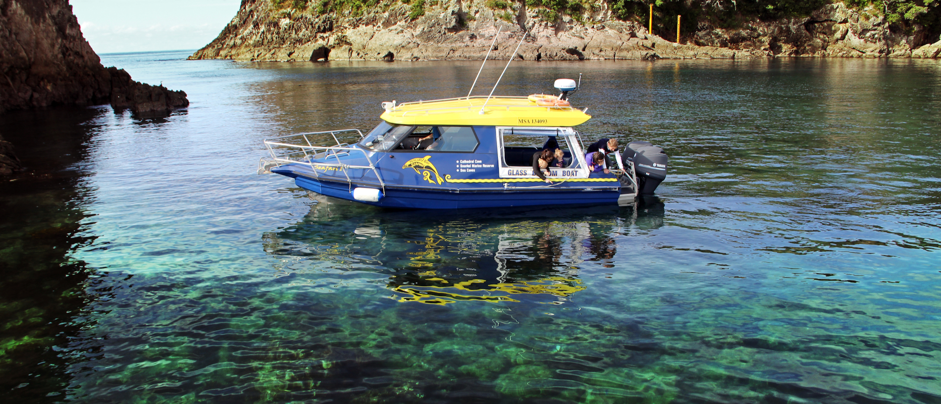 Watch marine life from above in The Coromandel