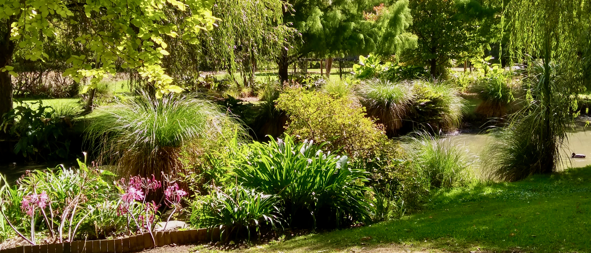 Meet the exotic residents of Katikati Bird Gardens
