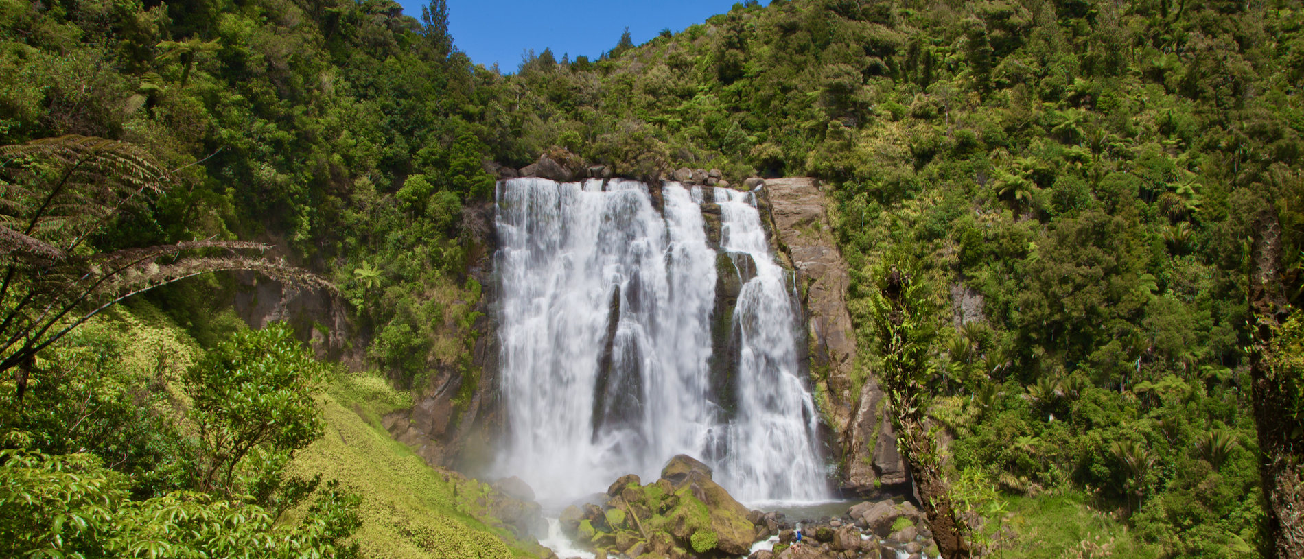 Discover New Zealand’s most beautiful waterfall in Waitomo