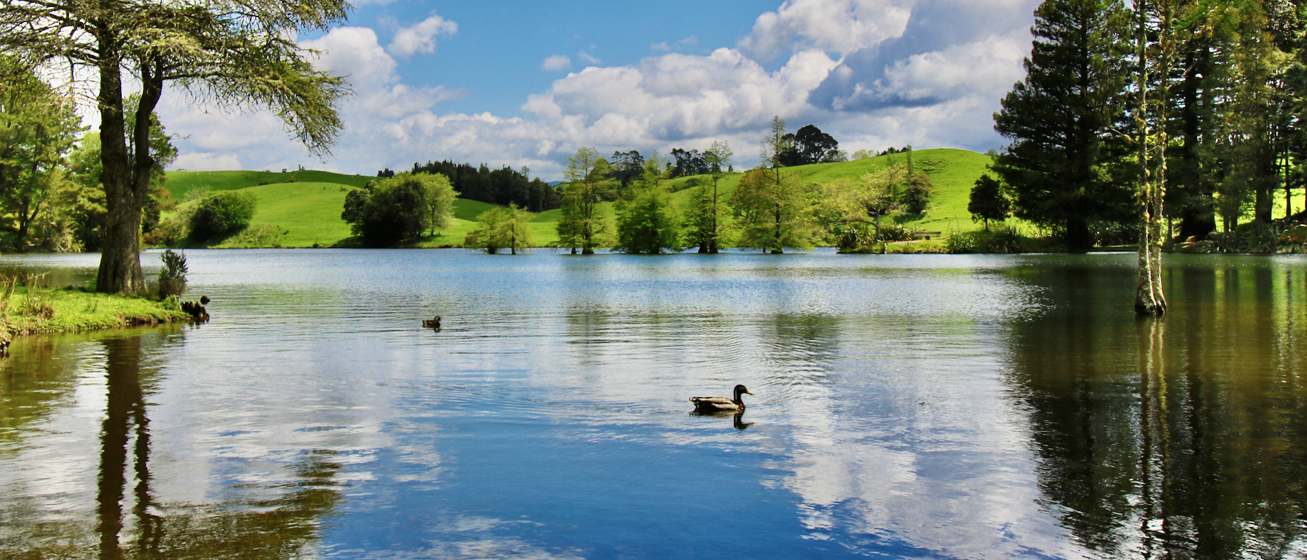 McLaren Falls Park: full of family fun