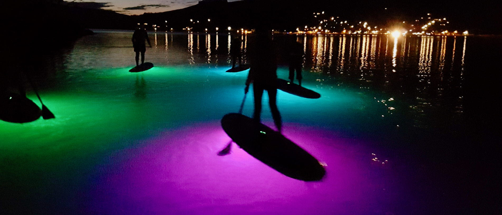 Paddle around Akaroa Harbour at night