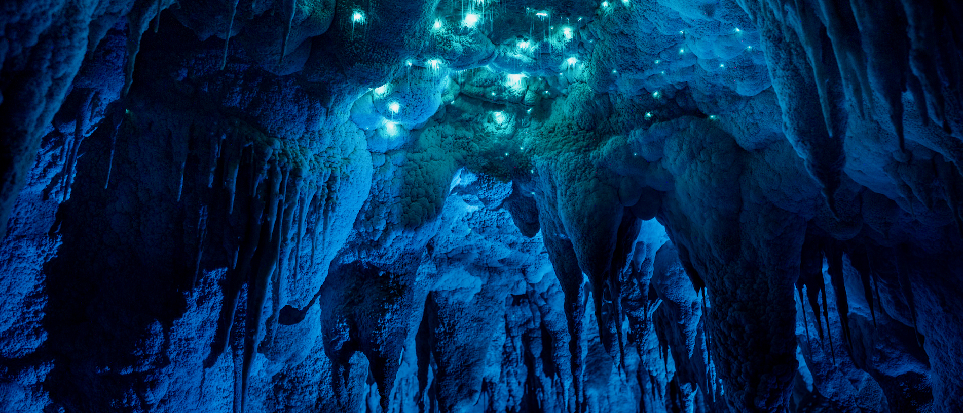 Go on an underground adventure at Nikau Cave