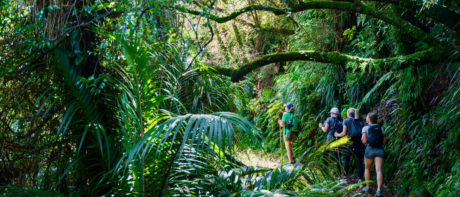 Walk or ride Marlborough’s Nydia Track