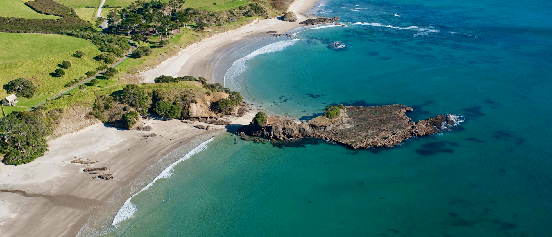Spend the day at one of Auckland's beautiful regional parks