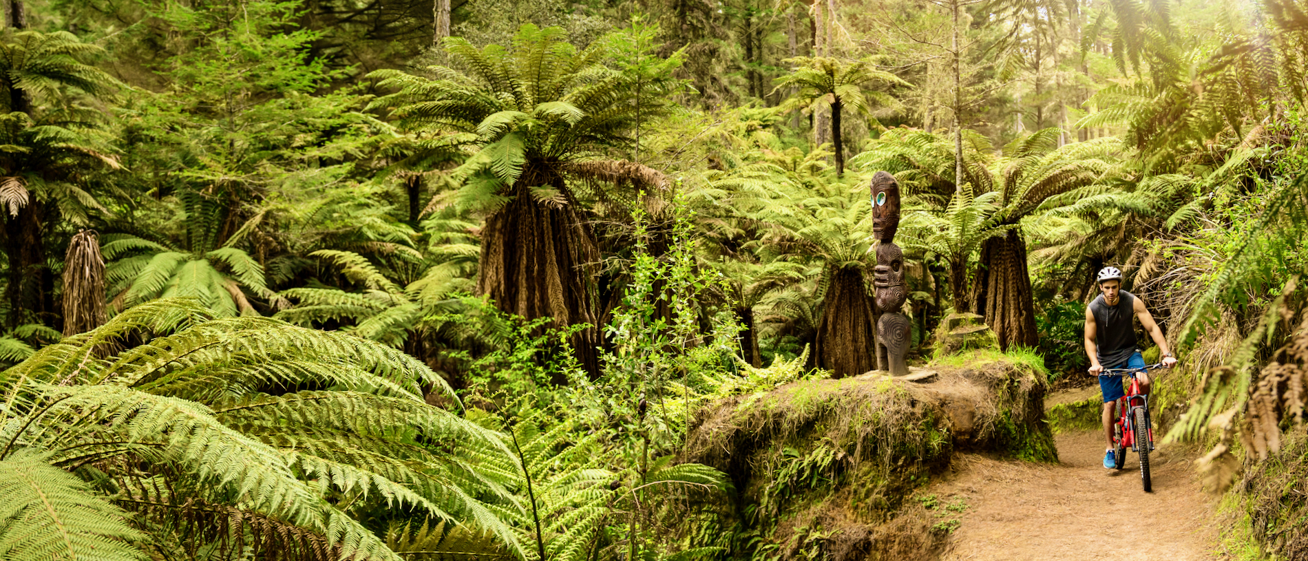 Te Ara Ahi: geothermal by bike