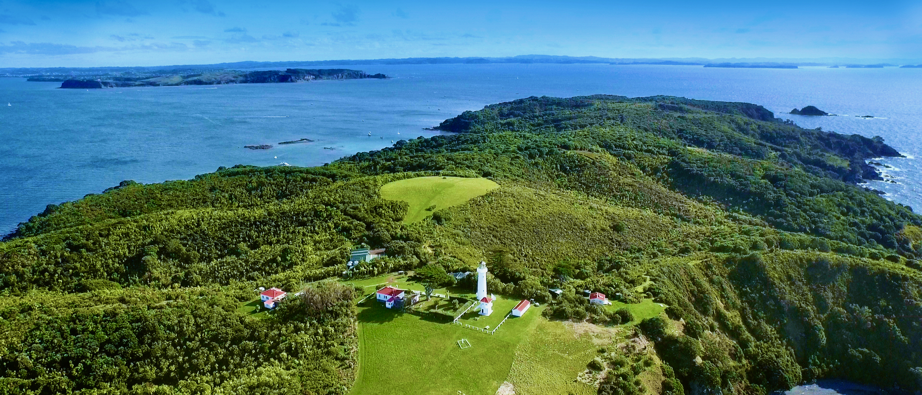 Surround yourself with birdsong on Tiritiri Matangi Island